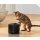 Catlink Pure 2 Lite inteligentne poidło dla zwierząt - 1606090 - zdjęcie 11
